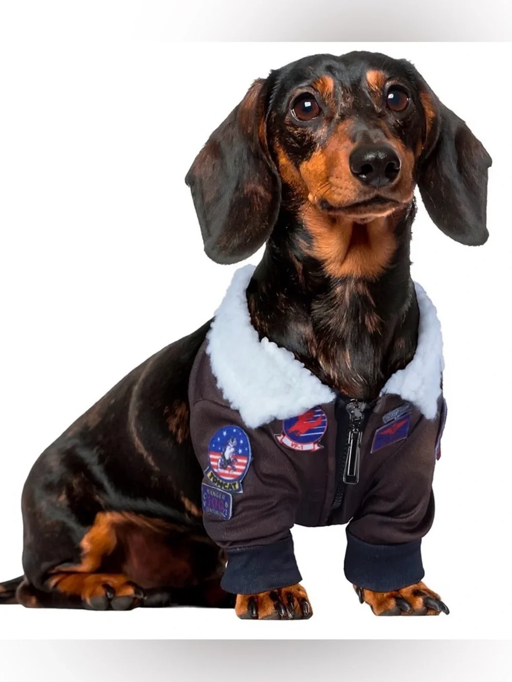 Officially licensed Top Gun Maverick dog costume by Rubie’s, size Large.